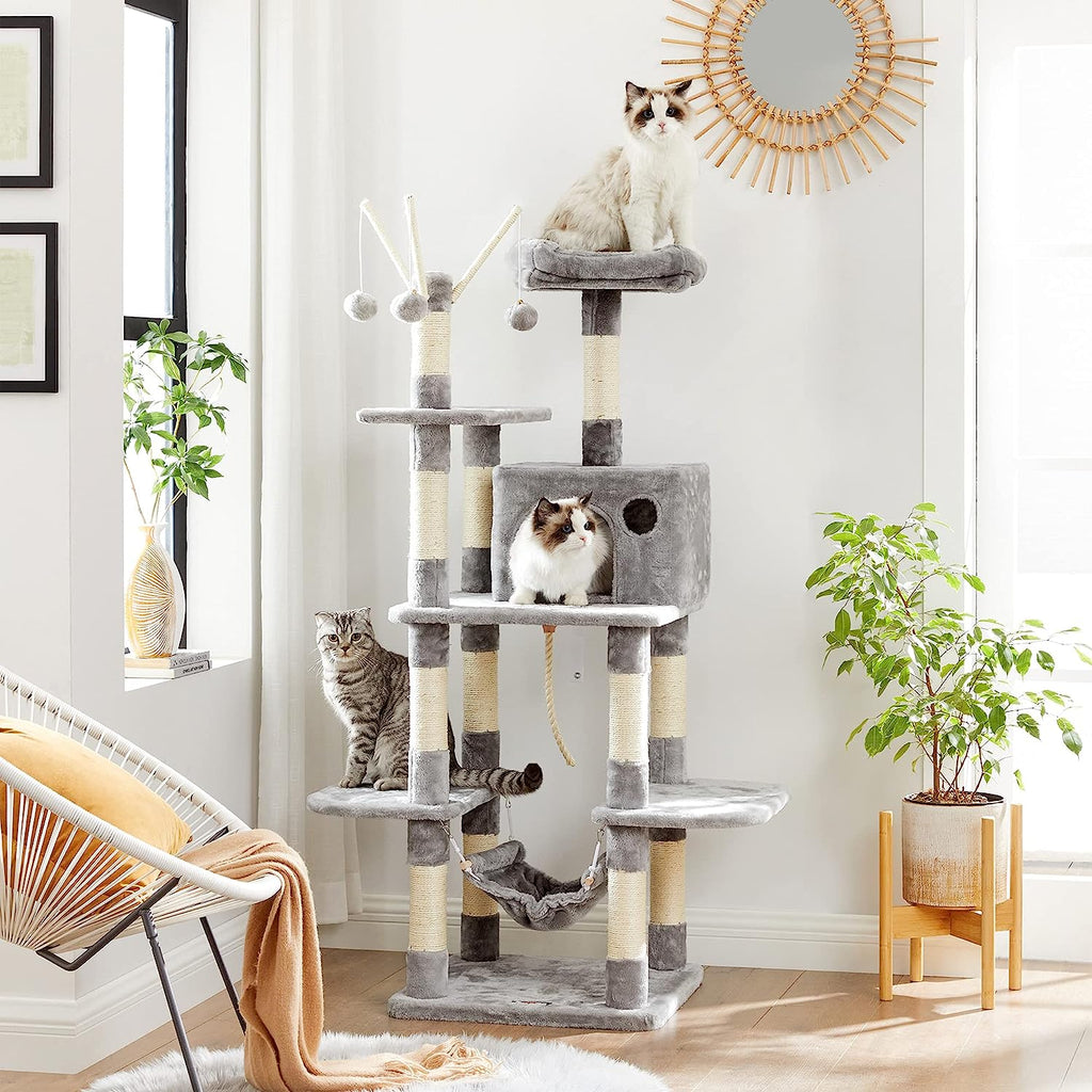 Happy Pets, Happy Homes: Best Picks for your Furry Friends