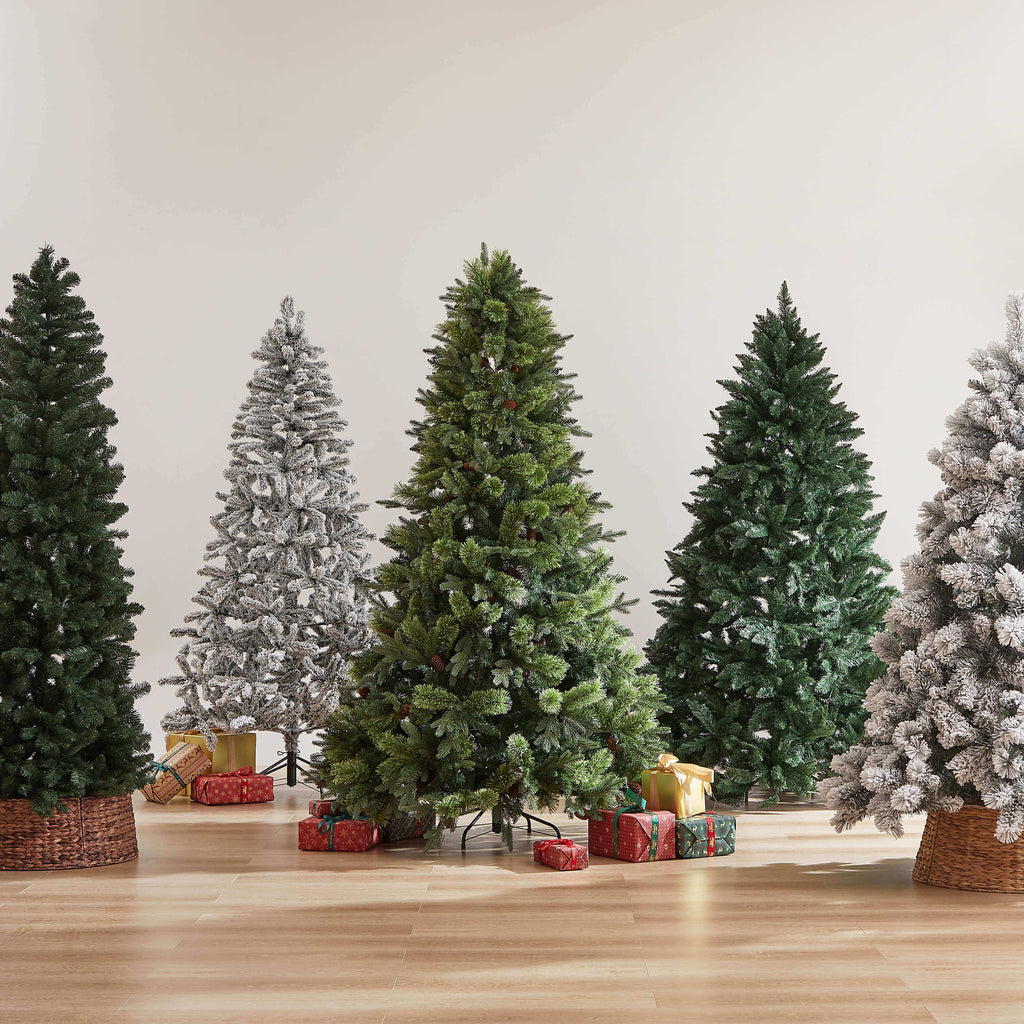 How to choose a Christmas tree