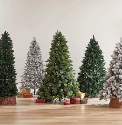 How to choose a Christmas tree