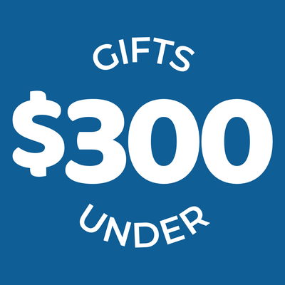 Gifts under $300