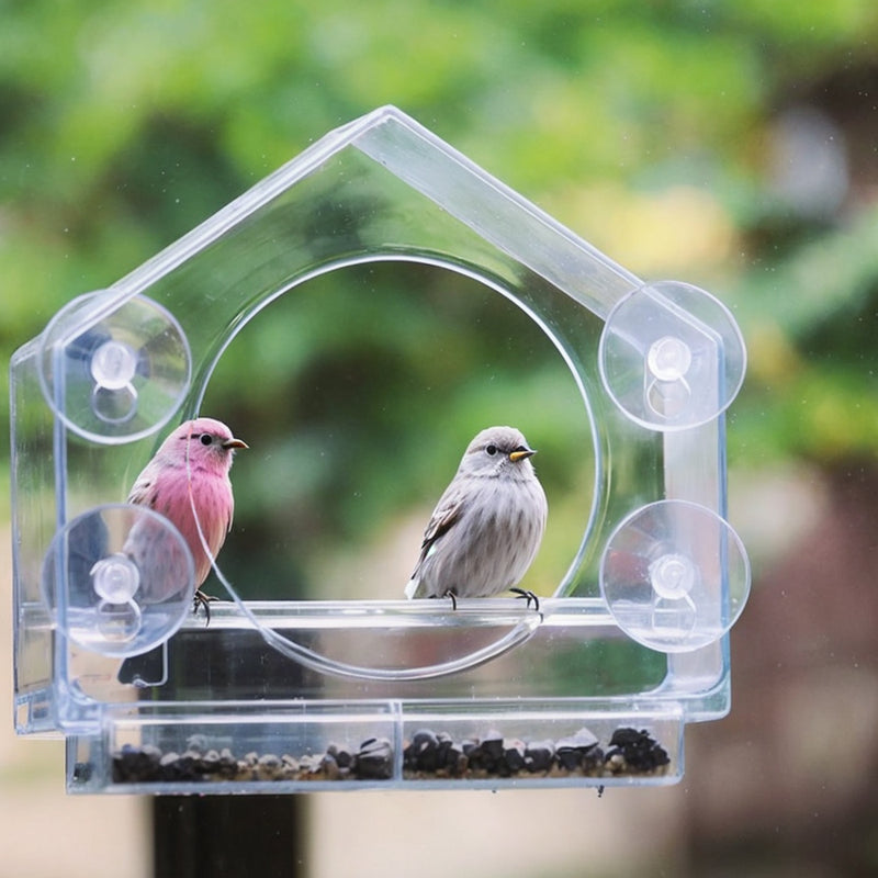Transparent Acrylic Window Bird Feeder