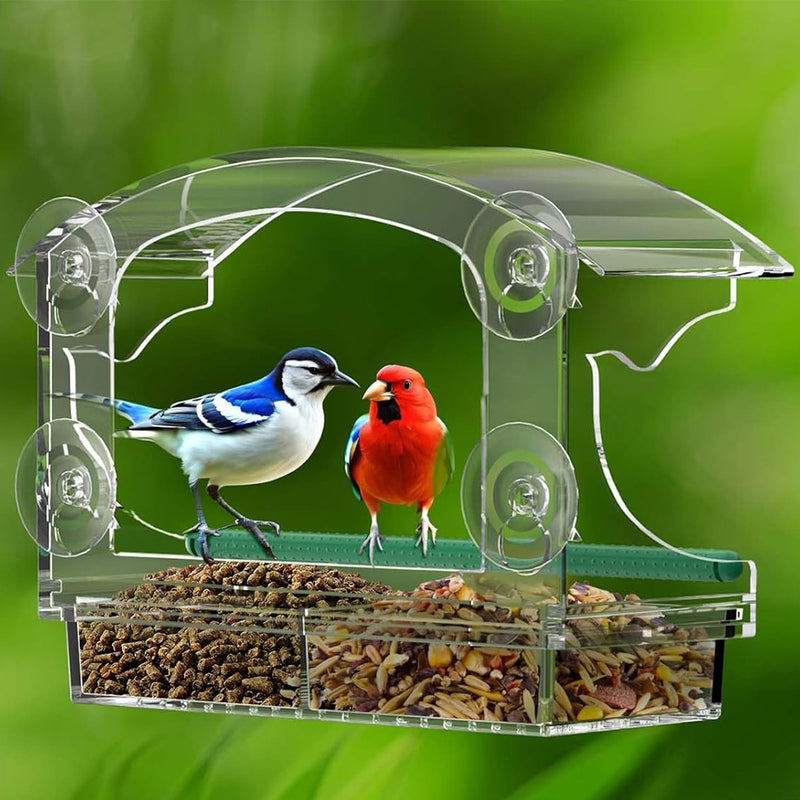 Clear Window Bird Feeder