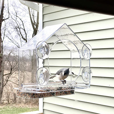 Transparent Acrylic Window Bird Feeder