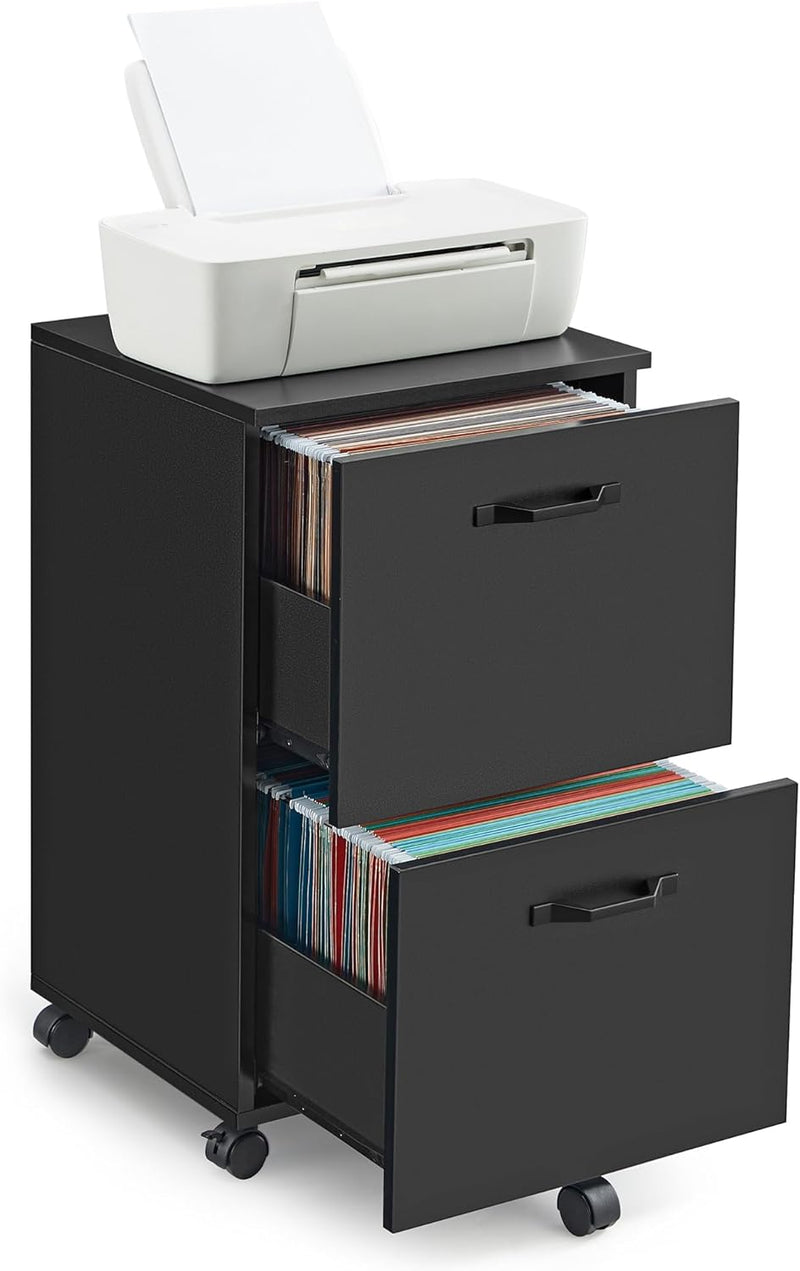 Vasagle Office File Cabinet With 2 Drawer Black