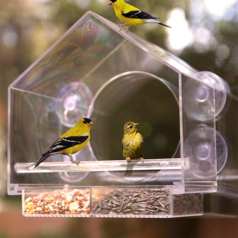 Transparent Acrylic Window Bird Feeder