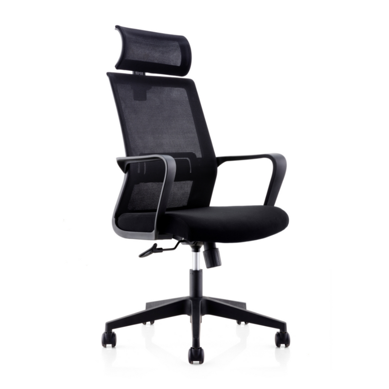 Home Office High Back Computer Chair with Headrest- Black