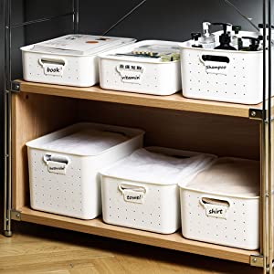 Plastic Storage Bins with Lids (Set of 3)